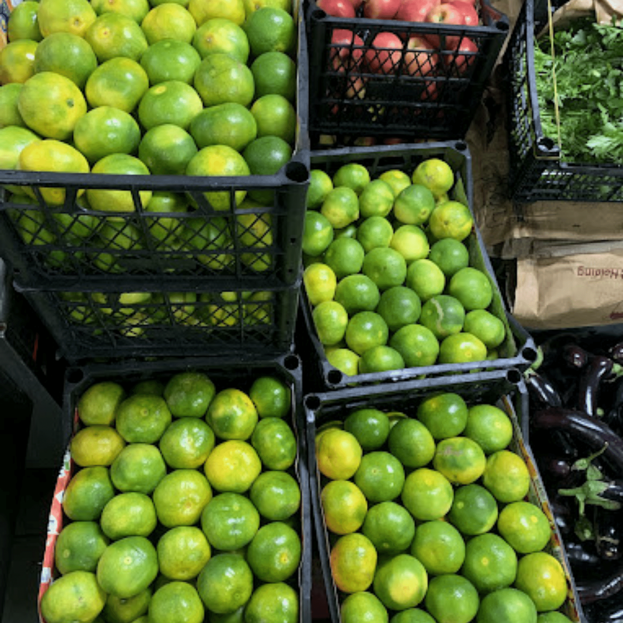 Mansur%20Catering%20kurumsal%20yemek%20hizmetleri